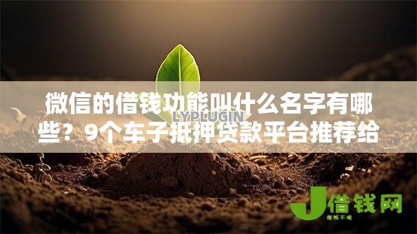 微信的借钱功能叫什么名字有哪些？9个车子抵押贷款平台推荐给你