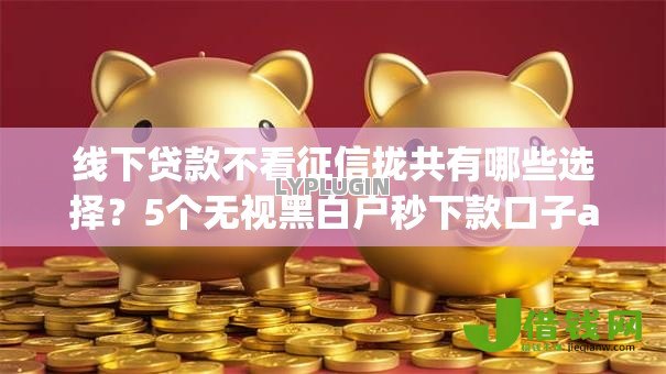 线下贷款不看征信拢共有哪些选择？5个无视黑白户秒下款口子app详解