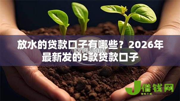 放水的贷款口子有哪些？2026年最新发的5款贷款口子