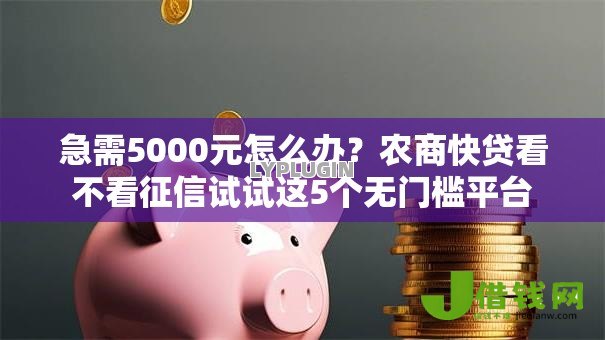 急需5000元怎么办？农商快贷看不看征信试试这5个无门槛平台