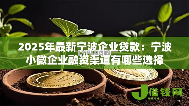 2025年最新宁波企业贷款：宁波小微企业融资渠道有哪些选择