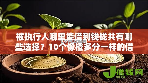 被执行人哪里能借到钱拢共有哪些选择？10个像橙多分一样的借款平台详解