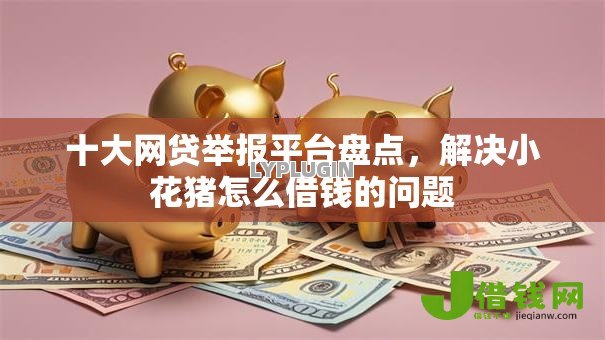 十大网贷举报平台盘点，解决小花猪怎么借钱的问题