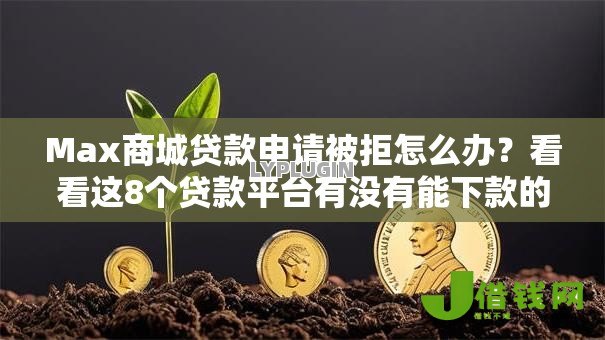 Max商城贷款申请被拒怎么办？看看这8个贷款平台有没有能下款的