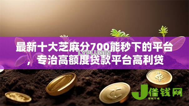 最新十大芝麻分700能秒下的平台，专治高额度贷款平台高利贷
