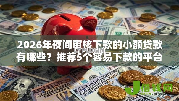 2026年夜间审核下款的小额贷款有哪些？推荐5个容易下款的平台