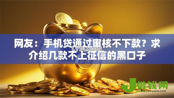 网友:手机贷通过审核不下款?求介绍几款不上征信的黑口子 网友:手机贷通过审核不下款?求介绍几款不上征信的黑口子