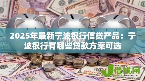 2025年最新宁波银行信贷产品：宁波银行有哪些贷款方案可选