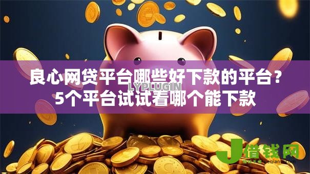 良心网贷平台哪些好下款的平台？5个平台试试看哪个能下款