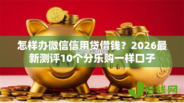 怎样办微信信用贷借钱？2026最新测评10个分乐购一样口子