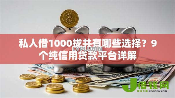 私人借1000拢共有哪些选择？9个纯信用贷款平台详解