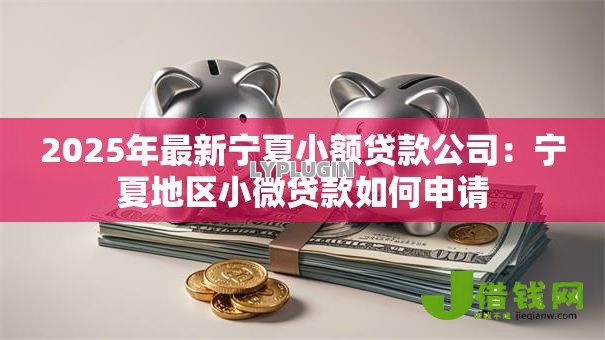 2025年最新宁夏小额贷款公司：宁夏地区小微贷款如何申请