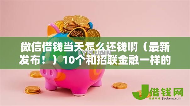 微信借钱当天怎么还钱啊（最新发布！）10个和招联金融一样的贷款平台