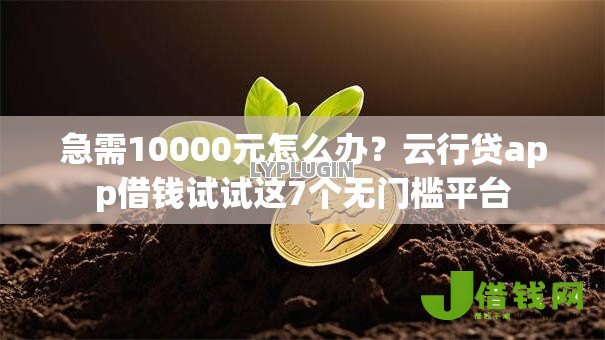 急需10000元怎么办？云行贷app借钱试试这7个无门槛平台