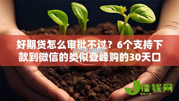 好期贷怎么审批不过?6个支持下款到微信的类似登峰购的30天口子 好期贷怎么审批不过?6个支持下款到微信的类似登峰购的30天口子