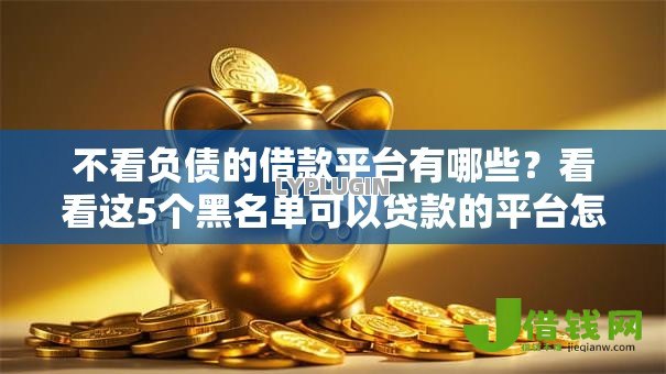 不看负债的借款平台有哪些？看看这5个黑名单可以贷款的平台怎么样