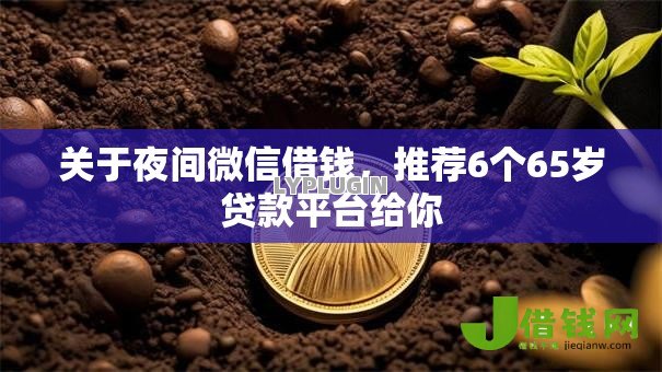 关于夜间微信借钱，推荐6个65岁贷款平台给你