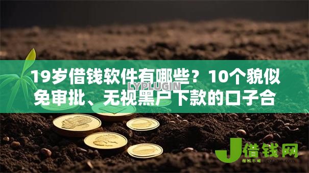 19岁借钱软件有哪些？10个貌似免审批、无视黑户下款的口子合集
