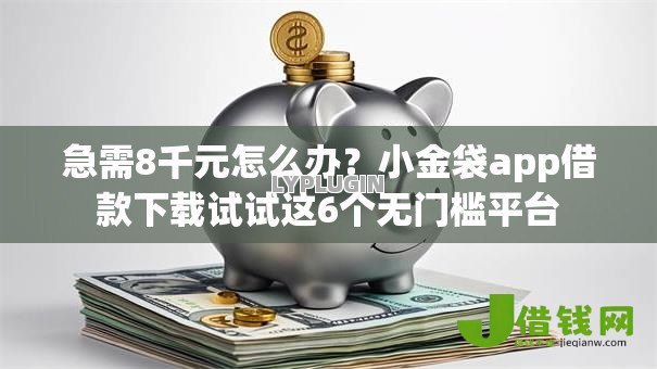 急需8千元怎么办?小金袋app借款下载试试这6个无门槛平台 急需8千元怎么办?小金袋app借款下载试试这6个无门槛平台