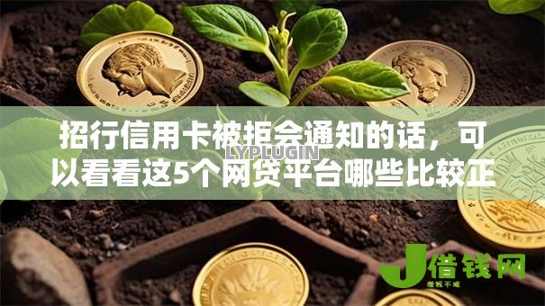 招行信用卡被拒会通知的话,可以看看这5个网贷平台哪些比较正规 招行信用卡被拒会通知的话,可以看看这5个网贷平台哪些比较正规