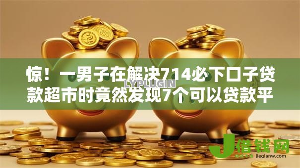 惊！一男子在解决714必下口子贷款超市时竟然发现7个可以贷款平台，事后分享了出来