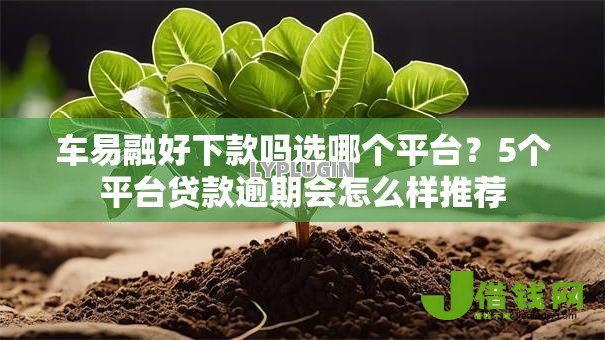 车易融好下款吗选哪个平台?5个平台贷款逾期会怎么样推荐 车易融好下款吗选哪个平台?5个平台贷款逾期会怎么样推荐