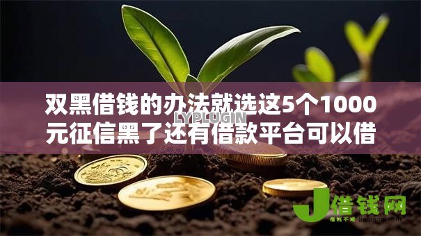 双黑借钱的办法就选这5个1000元征信黑了还有借款平台可以借钱