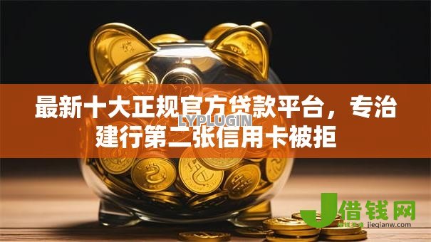 最新十大正规官方贷款平台，专治建行第二张信用卡被拒