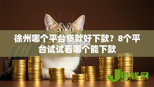 徐州哪个平台贷款好下款?8个平台试试看哪个能下款 徐州哪个平台贷款好下款?8个平台试试看哪个能下款