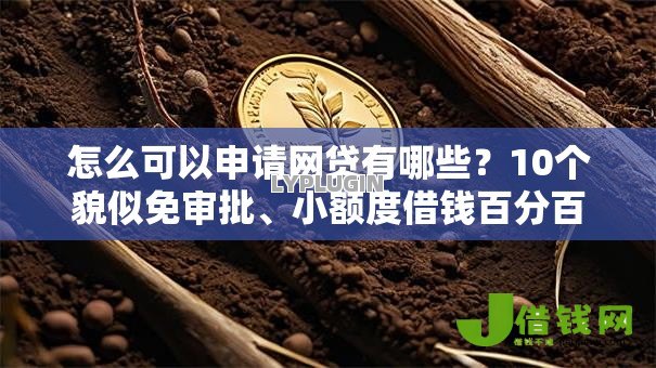 怎么可以申请网贷有哪些？10个貌似免审批、小额度借钱百分百通过的平台合集