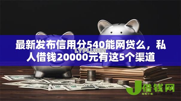 最新发布信用分540能网贷么，私人借钱20000元有这5个渠道