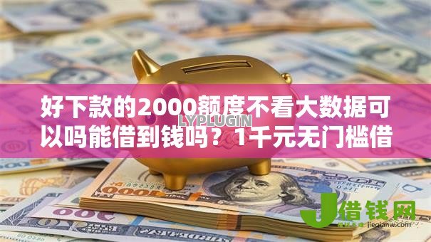 好下款的2000额度不看大数据可以吗能借到钱吗？1千元无门槛借款8个平台推荐