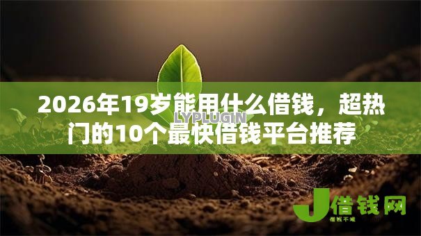 2026年19岁能用什么借钱，超热门的10个最快借钱平台推荐