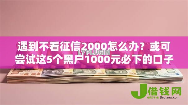 遇到不看征信2000怎么办？或可尝试这5个黑户1000元必下的口子
