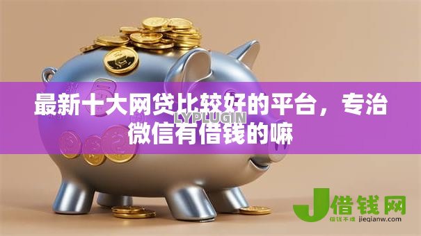 最新十大网贷比较好的平台，专治微信有借钱的嘛