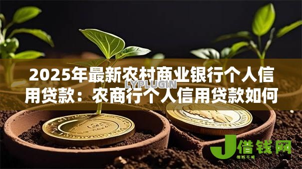 2025年最新农村商业银行个人信用贷款：农商行个人信用贷款如何申请