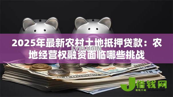 2025年最新农村土地抵押贷款:农地经营权融资面临哪些挑战 2025年最新农村土地抵押贷款:农地经营权融资面临哪些挑战