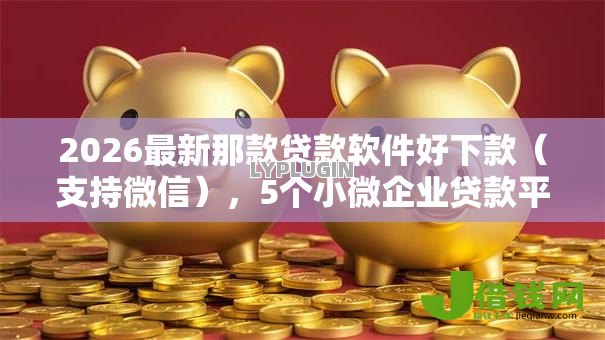 2026最新那款贷款软件好下款（支持微信），5个小微企业贷款平台无私分享