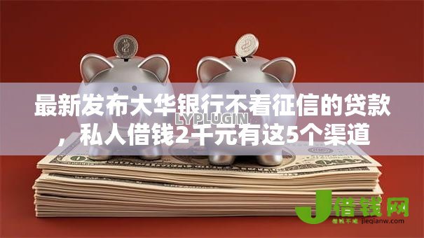 最新发布大华银行不看征信的贷款，私人借钱2千元有这5个渠道