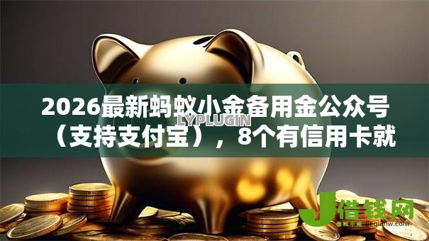 2026最新蚂蚁小金备用金公众号（支持支付宝），8个有信用卡就可以贷款的平台无私分享