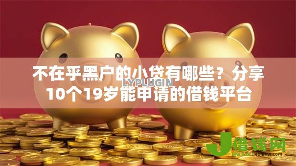 不在乎黑户的小贷有哪些?分享10个19岁能申请的借钱平台 不在乎黑户的小贷有哪些?分享10个19岁能申请的借钱平台