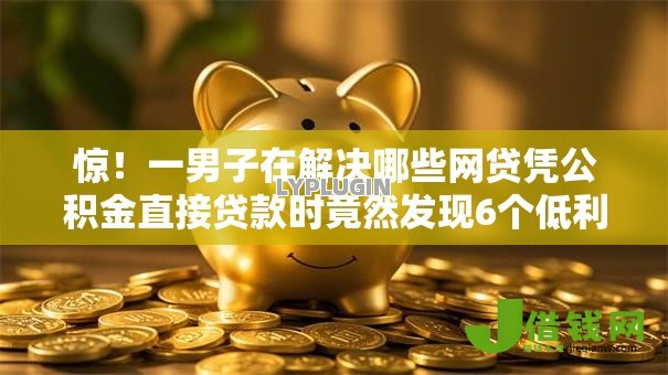 惊！一男子在解决哪些网贷凭公积金直接贷款时竟然发现6个低利率的贷款软件，事后分享了出来