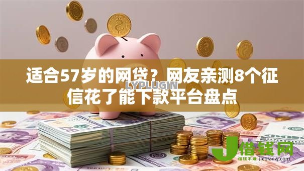 适合57岁的网贷？网友亲测8个征信花了能下款平台盘点