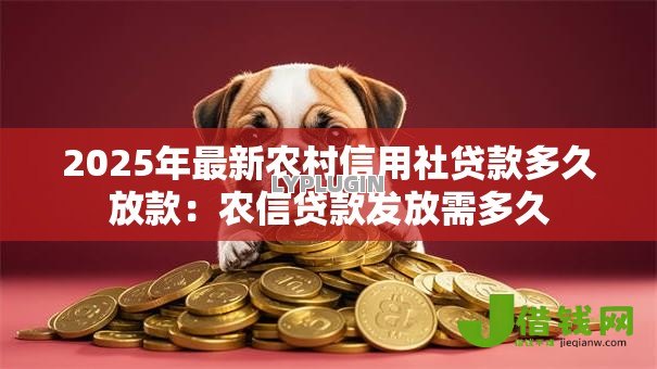 2025年最新农村信用社贷款多久放款：农信贷款发放需多久