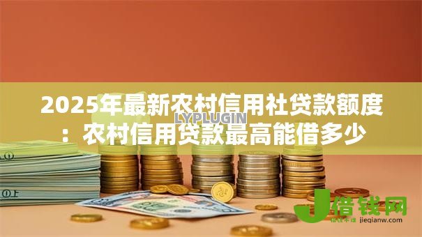 2025年最新农村信用社贷款额度：农村信用贷款最高能借多少
