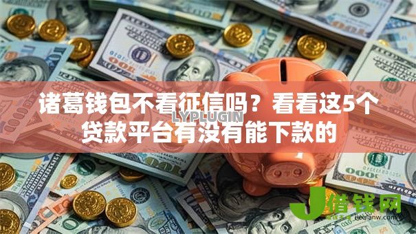诸葛钱包不看征信吗？看看这5个贷款平台有没有能下款的