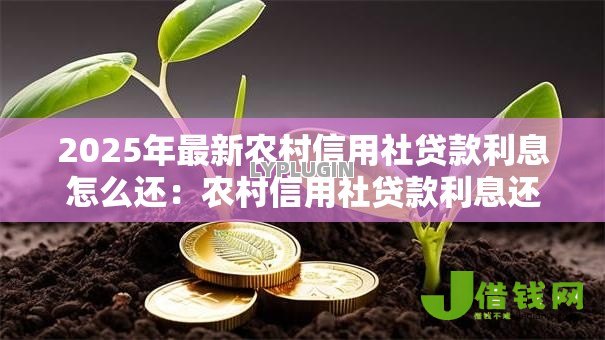 2025年最新农村信用社贷款利息怎么还：农村信用社贷款利息还款方式有哪些