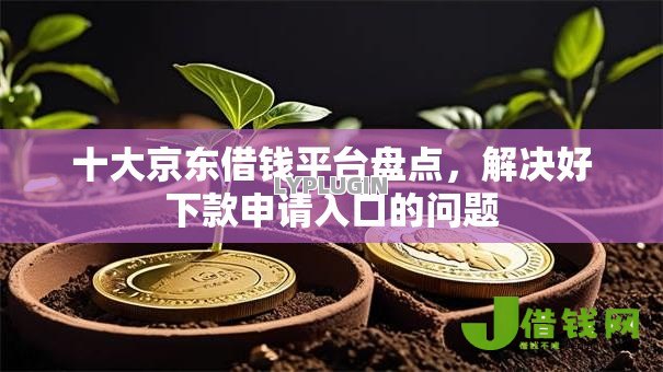 十大京东借钱平台盘点，解决好下款申请入口的问题