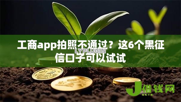 工商app拍照不通过？这6个黑征信口子可以试试