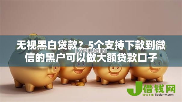 无视黑白贷款?5个支持下款到微信的黑户可以做大额贷款口子 无视黑白贷款?5个支持下款到微信的黑户可以做大额贷款口子